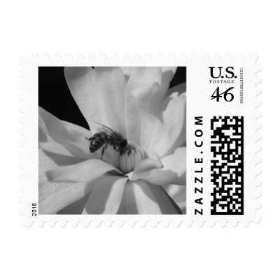 Bee on a Magnolia Centennial 3 Postage Stamp by princessklb07