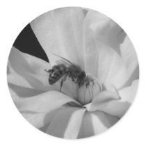 Bee on a Magnolia Centennial 3 stickers