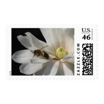 Bee on a Magnolia Centennial Postage Stamp