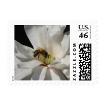 Bee on a Magnolia Centennial Postage Stamps