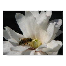 Bee on a Magnolia Centennial posters