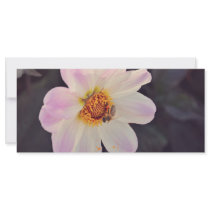 Bee on a purple flower customized rack card
