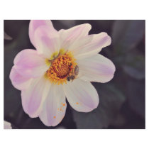 Bee on a purple flower flyers
