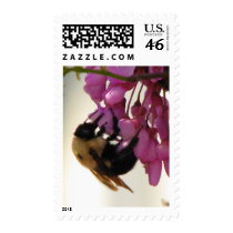 Bee on a Redbud Bloom postage by princessklb07 Bee on a Redbud Bloom postage