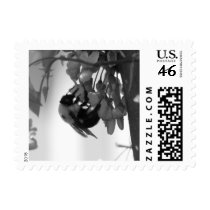 Bee on a Redbud Bloom postage by princessklb07 Bee on a Redbud Bloom postage