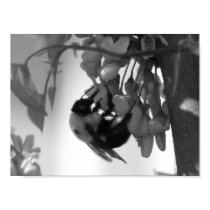 Bee on a Redbud Bloom posters by princessklb07 Bee on a Redbud Bloom posters
