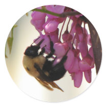 Bee on a Redbud Bloom stickers by princessklb07 Bee on a Redbud Bloom stickers