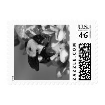 Bee on a Redbud postage by princessklb07 Bee on a Redbud postage