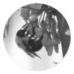 Bee on a Redbud Round Sticker