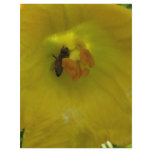 bee on a squash flower custom flyer
