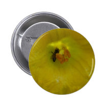 bee on a squash flower buttons