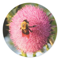 Bee on a Thistle Bloom stickers