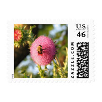 Bee on a Thistle postage