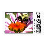 bee on cf1 stamps