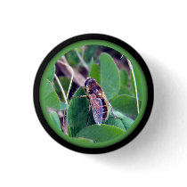 Bee On Clover Button