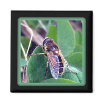 Bee On Clover Magnet by CreatureCreations Bee On Clover Magnet