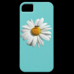 Bee on Daisy Blue iPhone 5 Case