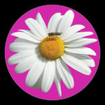 Bee on Daisy Customizable Color Sticker