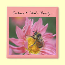 Bee On Daisy Inspirational Nature's Beauty Magnet magnets