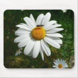 Bee on Daisy Mousepad
