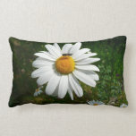 Bee on Daisy Pillow