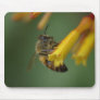 Bee on Firebush Mouse Pads
