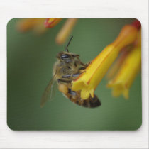 Bee on Firebush mousepads