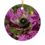 Bee on Fireweed Christmas Ornament