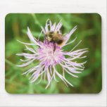 Bee on Flower Blossom Mousepad