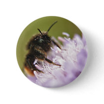 Bee on Flower button pin buttons