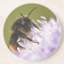 Bee on Flower coaster coasters
