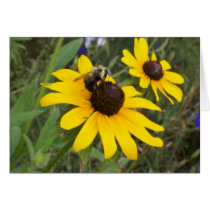 bee on flower cards