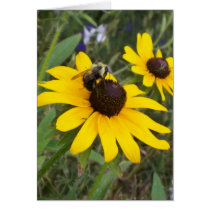 bee on flower cards