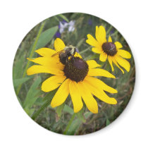 bee on flower magnets