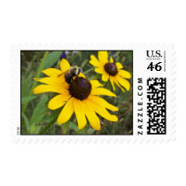 bee on flower stamps