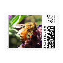 Bee on Flower Stamps by wingedturtle Bee on Flower Stamps