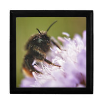 Bee on Flower wooden keepsake jewelry gift box gift boxes