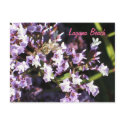 Bee on flowers Laguna postcard