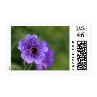 Bee on Geranium stamp