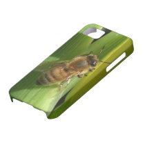 Bee on Green Stem iPhone Case iPhone 5 Cover