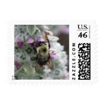 Bee on Lambs Ear postage by princessklb07 Bee on Lambs Ear postage