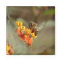 Bee on Lantana Magnet by pulsDesign Bee on Lantana Magnet