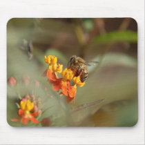 Bee on Lantana Mousepad
