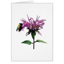 Bee on Lavender Bee Balm Cards