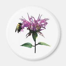 Bee on Lavender Bee Balm Fridge Magnets