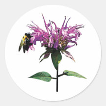 Bee on Lavender Bee Balm Round Sticker