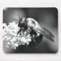 Bee on Lavender mousepad