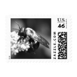 Bee on Lavender Postage Stamps