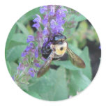 Bee on Lavender Round Sticker