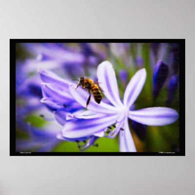 Bee on Maui Print by jasonyoun